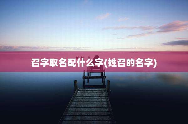 召字取名配什么字(姓召的名字)