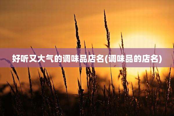 好听又大气的调味品店名(调味品的店名)