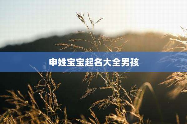 申姓宝宝起名大全男孩