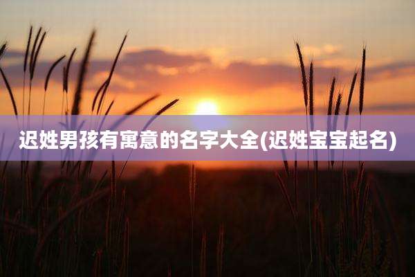 迟姓男孩有寓意的名字大全(迟姓宝宝起名)