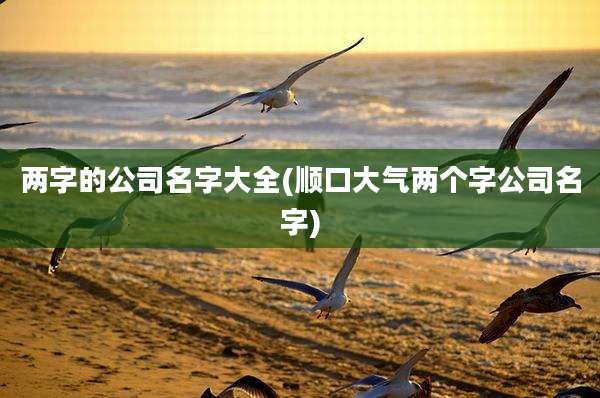 两字的公司名字大全(顺口大气两个字公司名字)