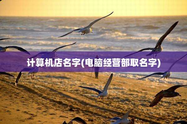 计算机店名字(电脑经营部取名字)