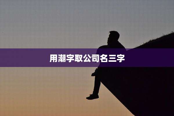 用潮字取公司名三字