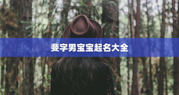 斐字男宝宝起名大全