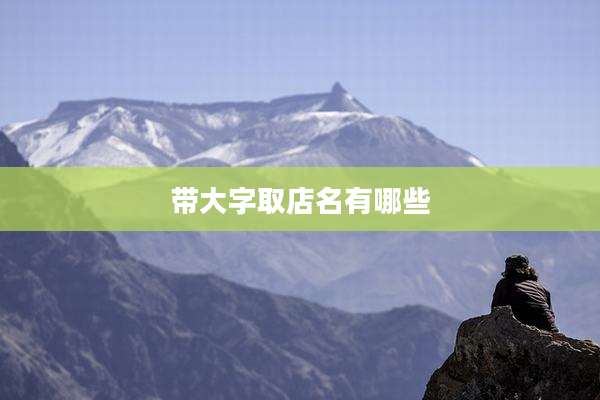 带大字取店名有哪些