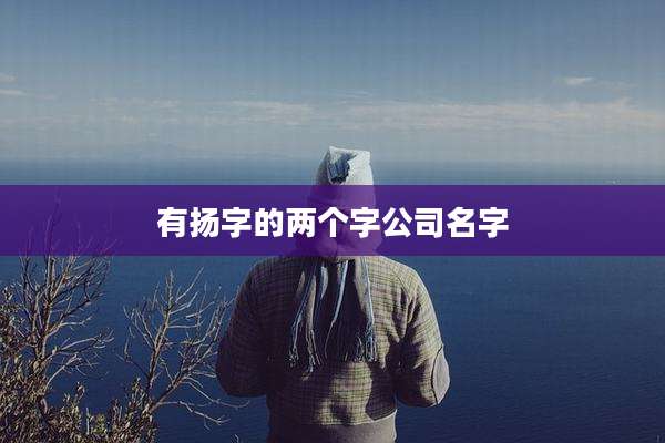 有扬字的两个字公司名字