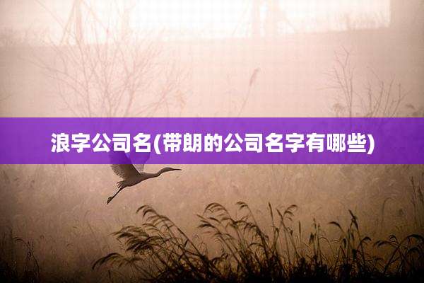 浪字公司名(带朗的公司名字有哪些)