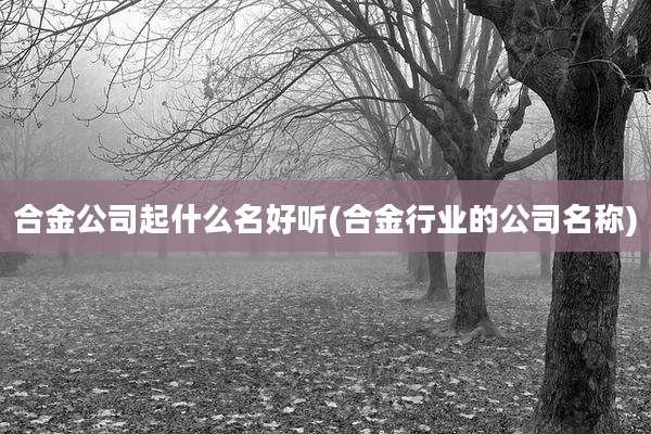合金公司起什么名好听(合金行业的公司名称)