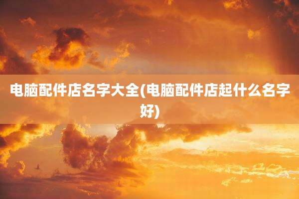 电脑配件店名字大全(电脑配件店起什么名字好)