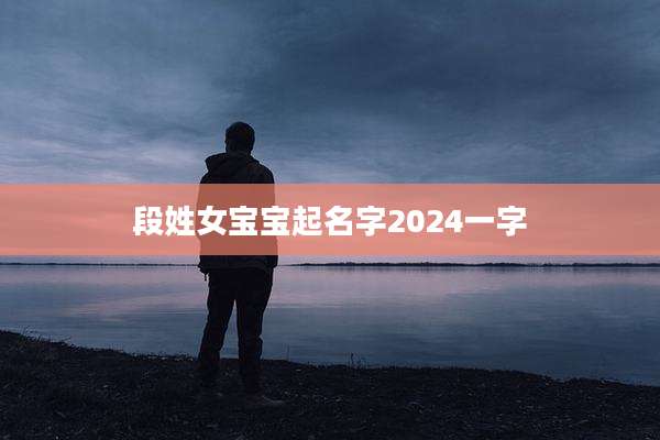 段姓女宝宝起名字2024一字