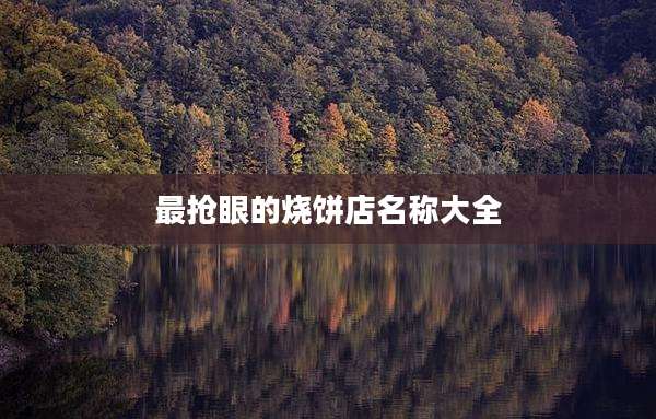 最抢眼的烧饼店名称大全