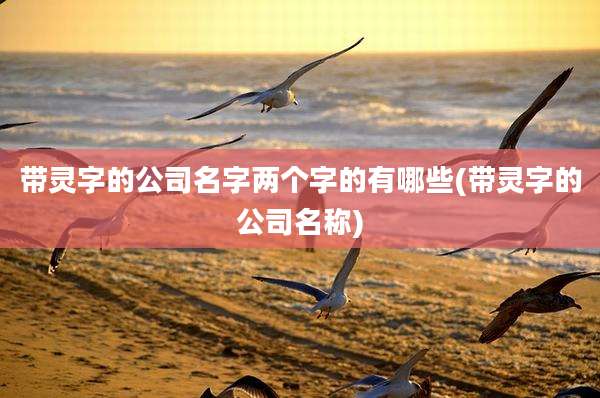 带灵字的公司名字两个字的有哪些(带灵字的公司名称)