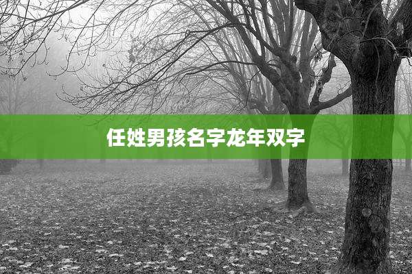 任姓男孩名字龙年双字