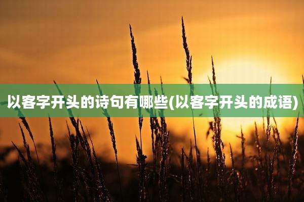 以客字开头的诗句有哪些(以客字开头的成语)