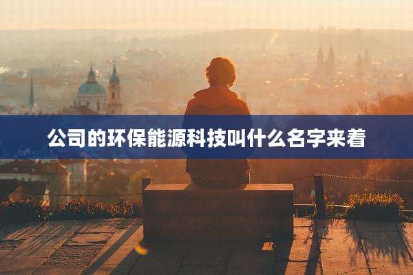 公司的环保能源科技叫什么名字来着