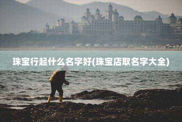 珠宝行起什么名字好(珠宝店取名字大全)
