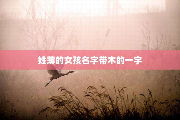 姓薄的女孩名字带木的一字