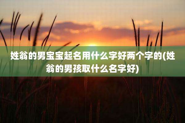 姓翁的男宝宝起名用什么字好两个字的(姓翁的男孩取什么名字好)