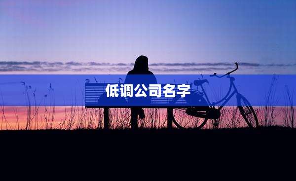 低调公司名字