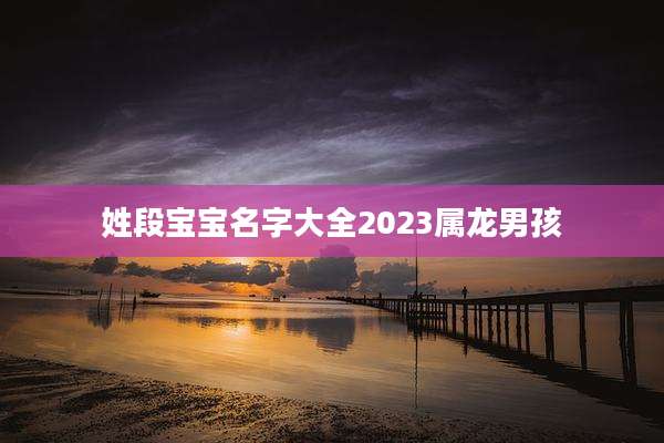 姓段宝宝名字大全2023属龙男孩