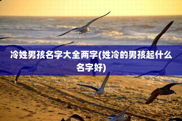 冷姓男孩名字大全两字(姓冷的男孩起什么名字好)