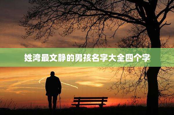 姓湾最文静的男孩名字大全四个字