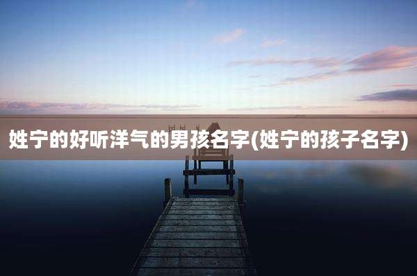 姓宁的好听洋气的男孩名字(姓宁的孩子名字)