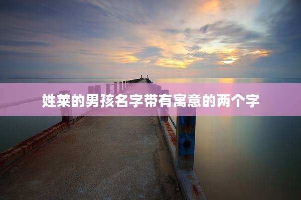 姓莱的男孩名字带有寓意的两个字