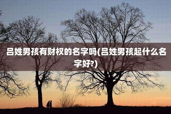 吕姓男孩有财权的名字吗(吕姓男孩起什么名字好?)