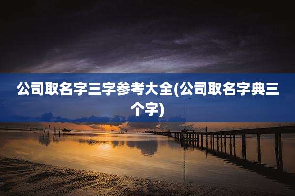 公司取名字三字参考大全(公司取名字典三个字)