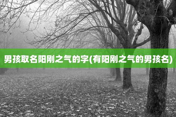 男孩取名阳刚之气的字(有阳刚之气的男孩名)