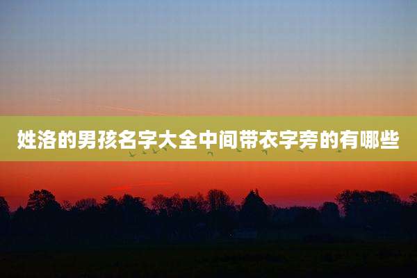 姓洛的男孩名字大全中间带衣字旁的有哪些