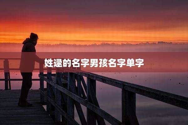 姓逯的名字男孩名字单字