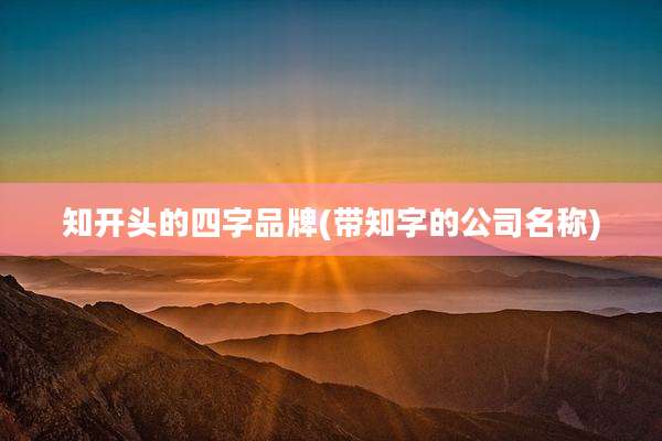 知开头的四字品牌(带知字的公司名称)