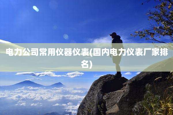 电力公司常用仪器仪表(国内电力仪表厂家排名)
