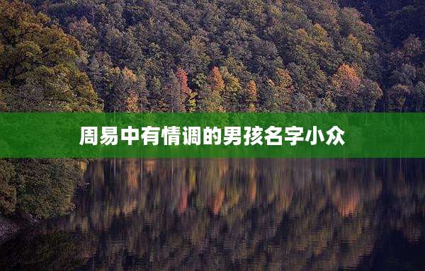 周易中有情调的男孩名字小众