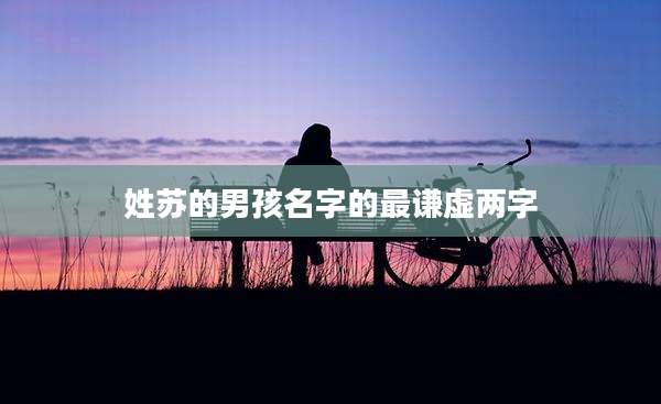 姓苏的男孩名字的最谦虚两字