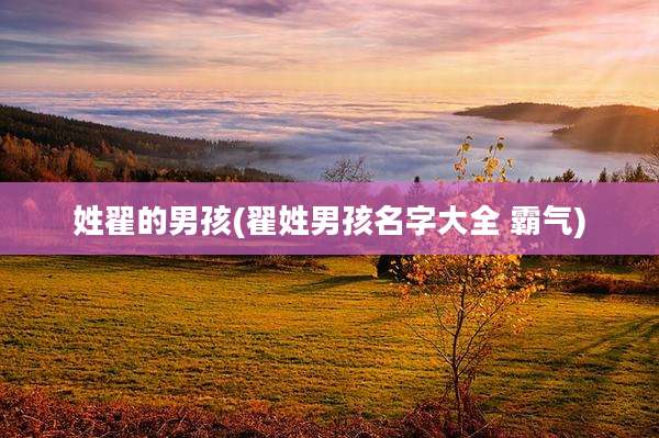 姓翟的男孩(翟姓男孩名字大全 霸气)