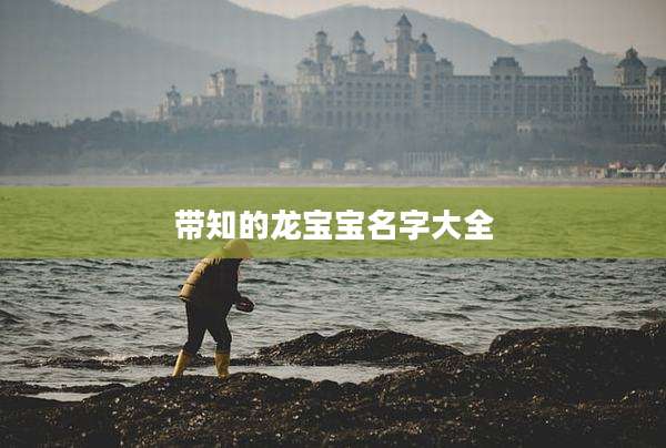 带知的龙宝宝名字大全