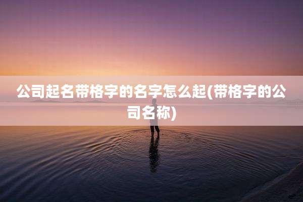 公司起名带格字的名字怎么起(带格字的公司名称)
