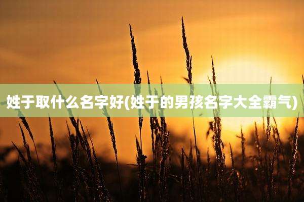 姓于取什么名字好(姓于的男孩名字大全霸气)