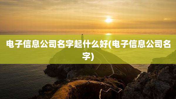 电子信息公司名字起什么好(电子信息公司名字)