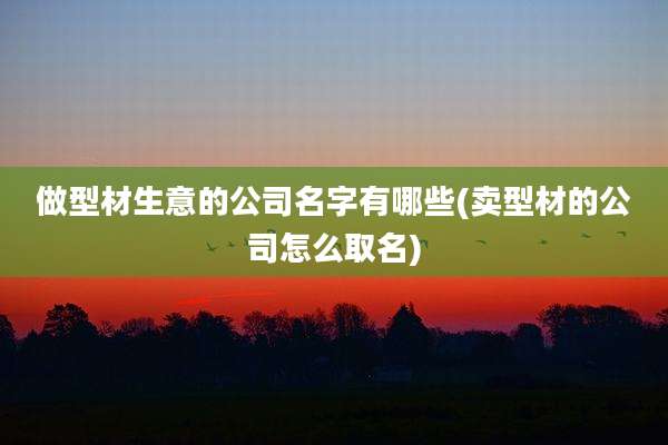 做型材生意的公司名字有哪些(卖型材的公司怎么取名)