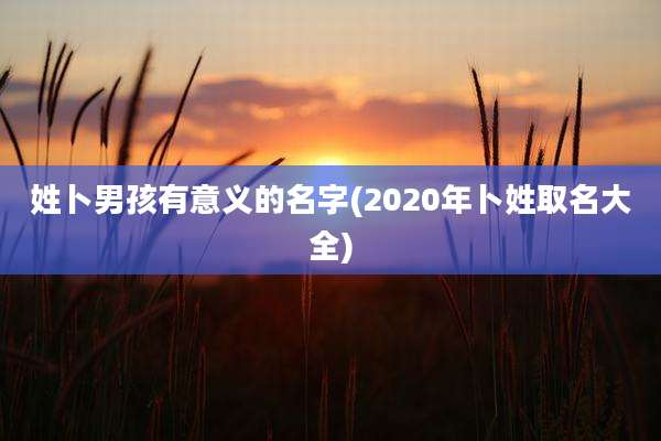姓卜男孩有意义的名字(2020年卜姓取名大全)