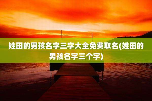 姓田的男孩名字三字大全免费取名(姓田的男孩名字三个字)