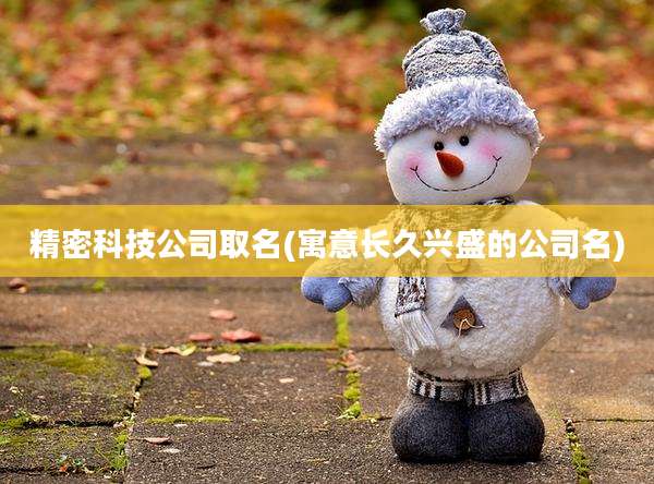 精密科技公司取名(寓意长久兴盛的公司名)