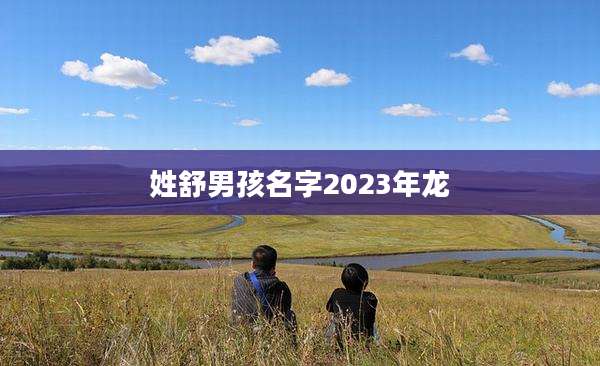 姓舒男孩名字2023年龙