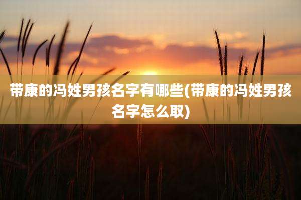 带康的冯姓男孩名字有哪些(带康的冯姓男孩名字怎么取)