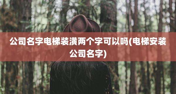 公司名字电梯装潢两个字可以吗(电梯安装公司名字)