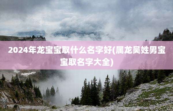 2024年龙宝宝取什么名字好(属龙吴姓男宝宝取名字大全)